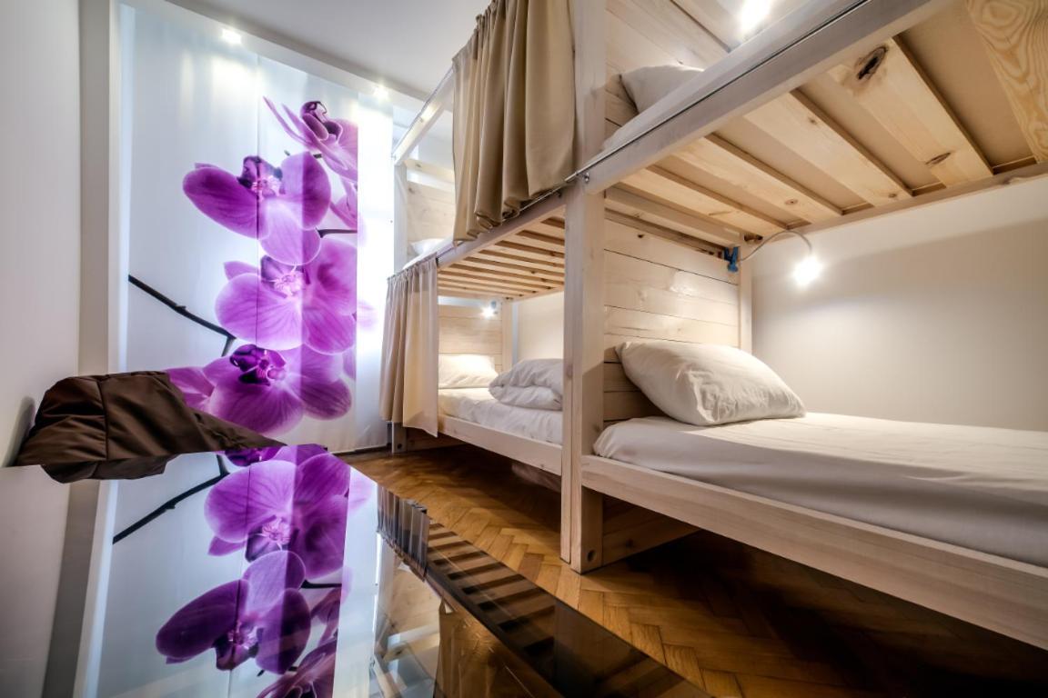 Sova Apartment Lviv Сenter Сity Dış mekan fotoğraf